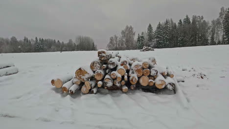 Schwenk-über-Schneebedeckte-Gefällte-Buchenstämme-Am-Rande-Eines-Waldes-An-Einem-Kalten-Wintertag