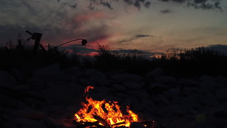 a slow motion medium shot of fire in a nature setting, against the twilight sky
