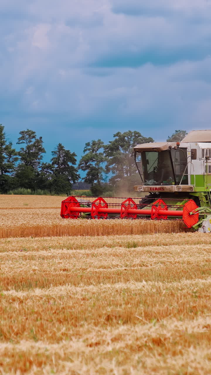 Kyiv, Ukraine, 2 May 2025: Harvesting of field with combine. Agriculture machine harvesting golden ripe wheat field. Vertical video