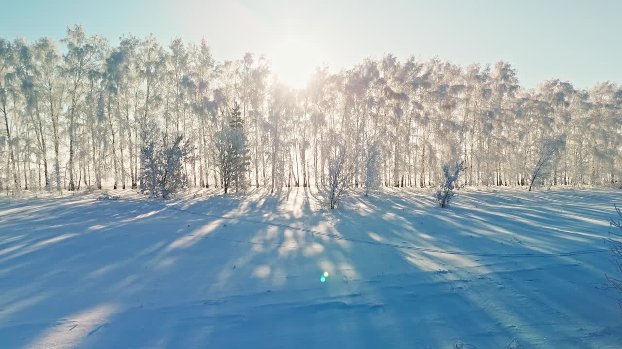 Et vinterlandskab med snedækkede træer