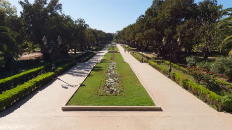 lush botanical gardens of rabat, morocco