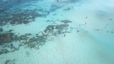 Aerial-shot-of-kayaks-and-SUP-boards-on-turquoise-water-in-Hawaii