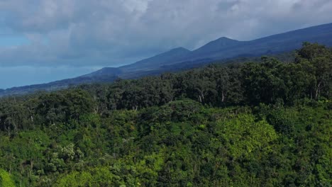 Teleobjetivo-Aéreo-Panorámico-De-Acantilados-Tropicales-Y-Colinas-Inclinadas-En-La-Costa-Norte-De-Maui