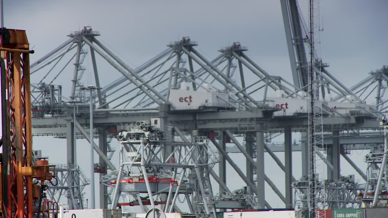 Cranes at Rotterdam port showcasing industrial activity