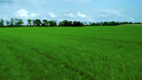 Aerial-footage-over-grass-field,-green-lawn-and-blue-sky,-natural-landscape-on-village,-cinematic-image-shot-by-drone