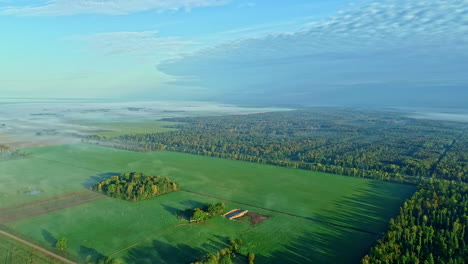 Schatten-Eines-Dichten-Waldes,-Der-Im-Morgennebel-über-Eine-Grüne-Wiese-Fällt