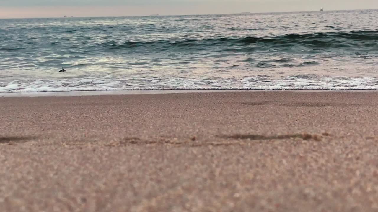 바다 아래에서 보기