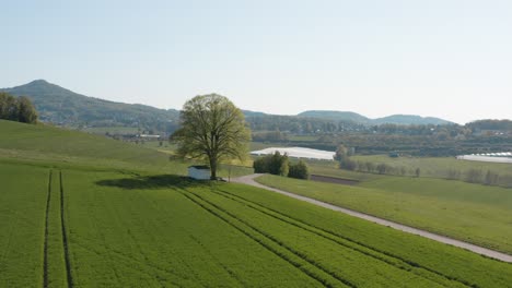 drone - aerial panorama shot of al lonely chapel on a field with grass and a road with panorama of the seven mountains - siebengebirge 25p