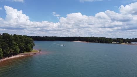 jabalí montando en un lago pacífico en el bosque