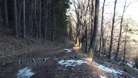 Slow-moving-cinematic-drone-clip-moving-through-a-forest-pathway-with-trees-and-snow-melting-on-the-sides-in-the-area-of-Vitosha,-close-to-Sofia,-Bulgaria