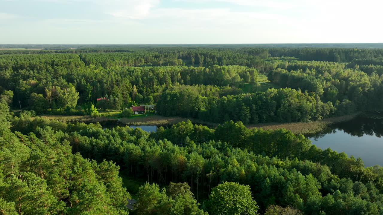 Drone shot over mixed forest revealing a small pond and a secluded homestead with red-roofed buildings nestled on its edge, deep in the woods - Borzechowo
