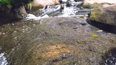 Cascadas-Tranquilas-Capturadas-En-Cámara-Lenta-10x-Mientras-El-Agua-Fluye-A-Través-De-La-Superficie-Rocosa