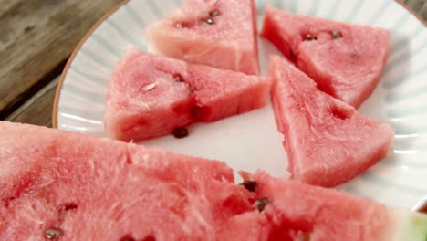 rebanadas de sandía guardadas en un plato