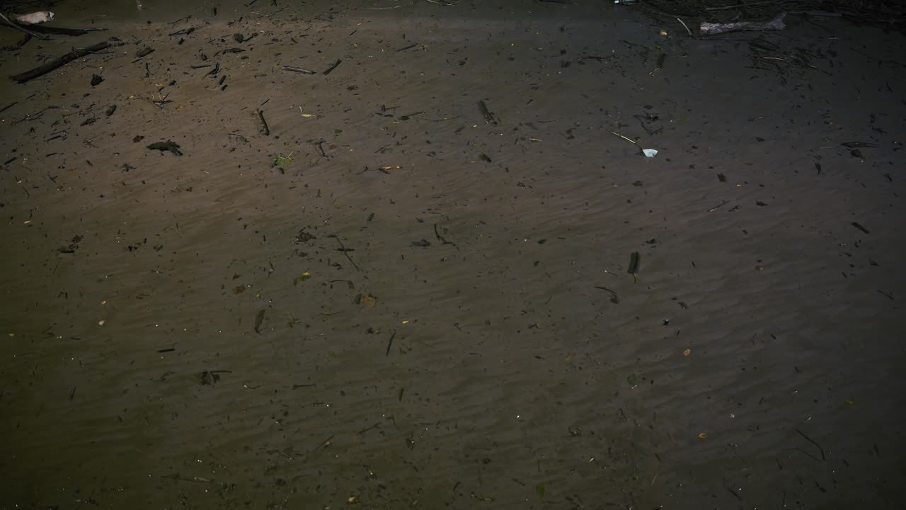 물에 잠긴 도시 표면에 어져 있는 홍수로부터의 잔해와 퇴적물, 떠다니는 잔해