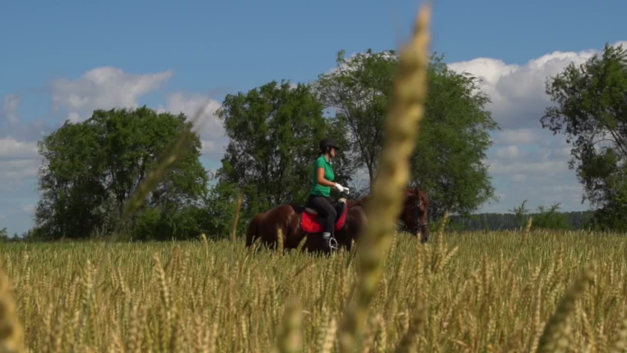 mujer a caballo en un campo de trigo