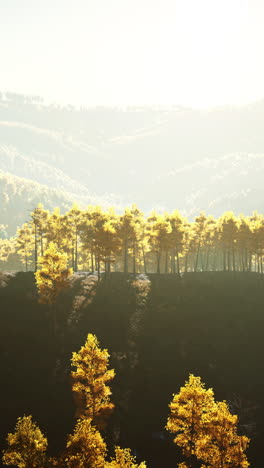 autumn mountain forest landscape