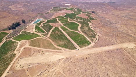 Toma-Rotatoria-De-Aeril-De-Un-Agricultor-Dejando-Sus-Viñedos-Dentro-Del-Valle-De-Fray-Jorge,-Chile