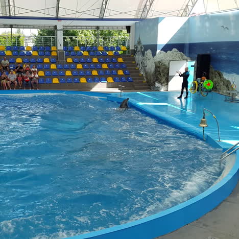 odessa, ukraine - august 2017: dolphins play in the dolphinarium. representation in the dolphinarium. show of dolphins.
