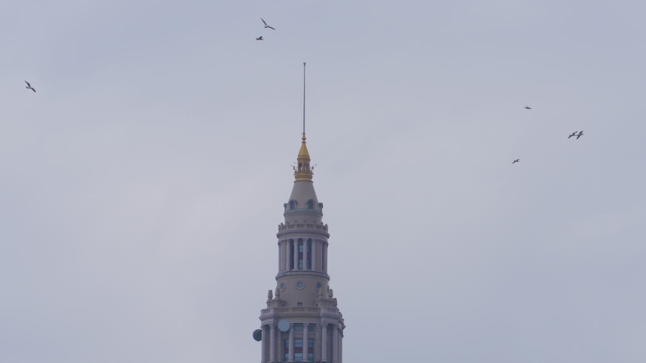 구름이 많은 날 클리블랜드 오하이오의 첨탑 주위를 날아다니는 새들