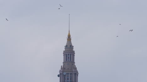 birds flying around a spire in cleveland ohio on a cloudy day