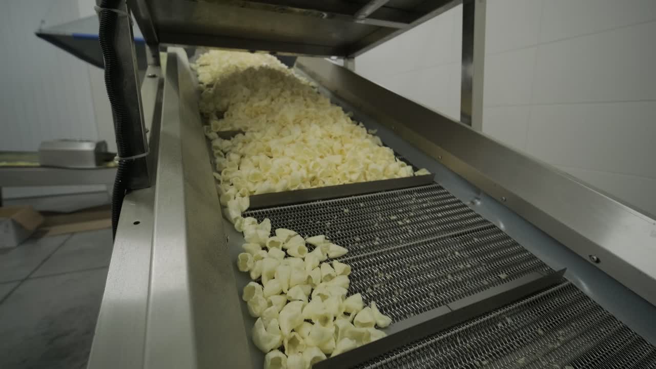 la línea de producción de la fábrica mueve las patatas fritas doradas después de freír. línea de fabricación de la fábrica de pasta