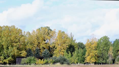 Otoño-árbol-Paisaje-Colores-De-Otoño-Canon-Rk