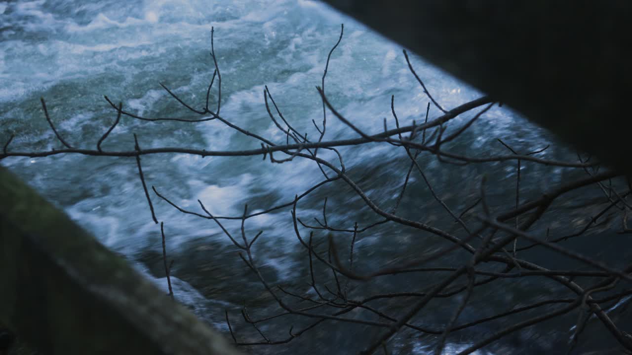 나무 다리에서 강의 전망, 강의 급류, 겨울의 나무 가지와 함께 흐르는 물, 느린 모양의 추상적인 자연 영상 4k.