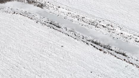 bird's eye view from drones, fox hunting in winter, snowy landscape