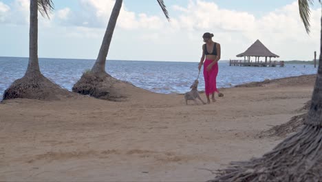 latin brunette woman in a bikini and a pink beach wrap playing with her grey schnauzer dog go fetch at the beach with the sea in the back