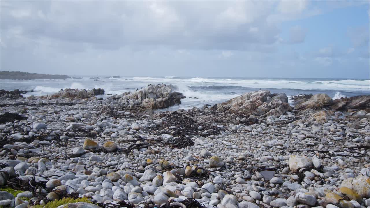 las gaviotas vuelan sobre la costa, las olas del océano chocan contra la costa rocosa