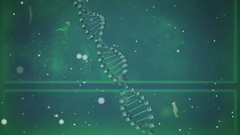 animation of green dna strand spinning with glowing spots