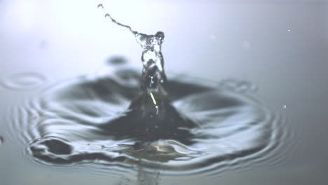 mushroom dropping in water