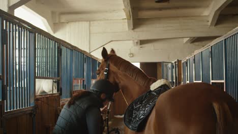 young jockey girl is preparing a horse for a ride in stable.