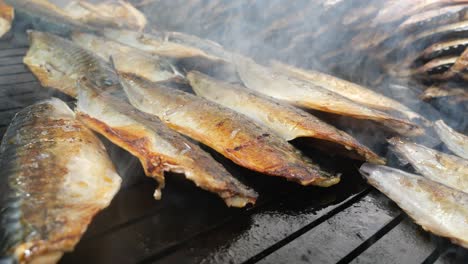caballa a la parrilla en una parrilla