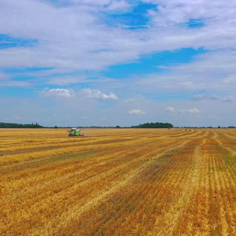 Agriculture from drone view