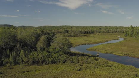 Orbit-aerial-meandering-river-Whales-Back,-Union-River-Eastern-Maine