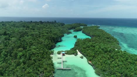 Eine-Luftaufnahme-Zeigt-Einen-Pier-In-Baer-Island-Indonesien