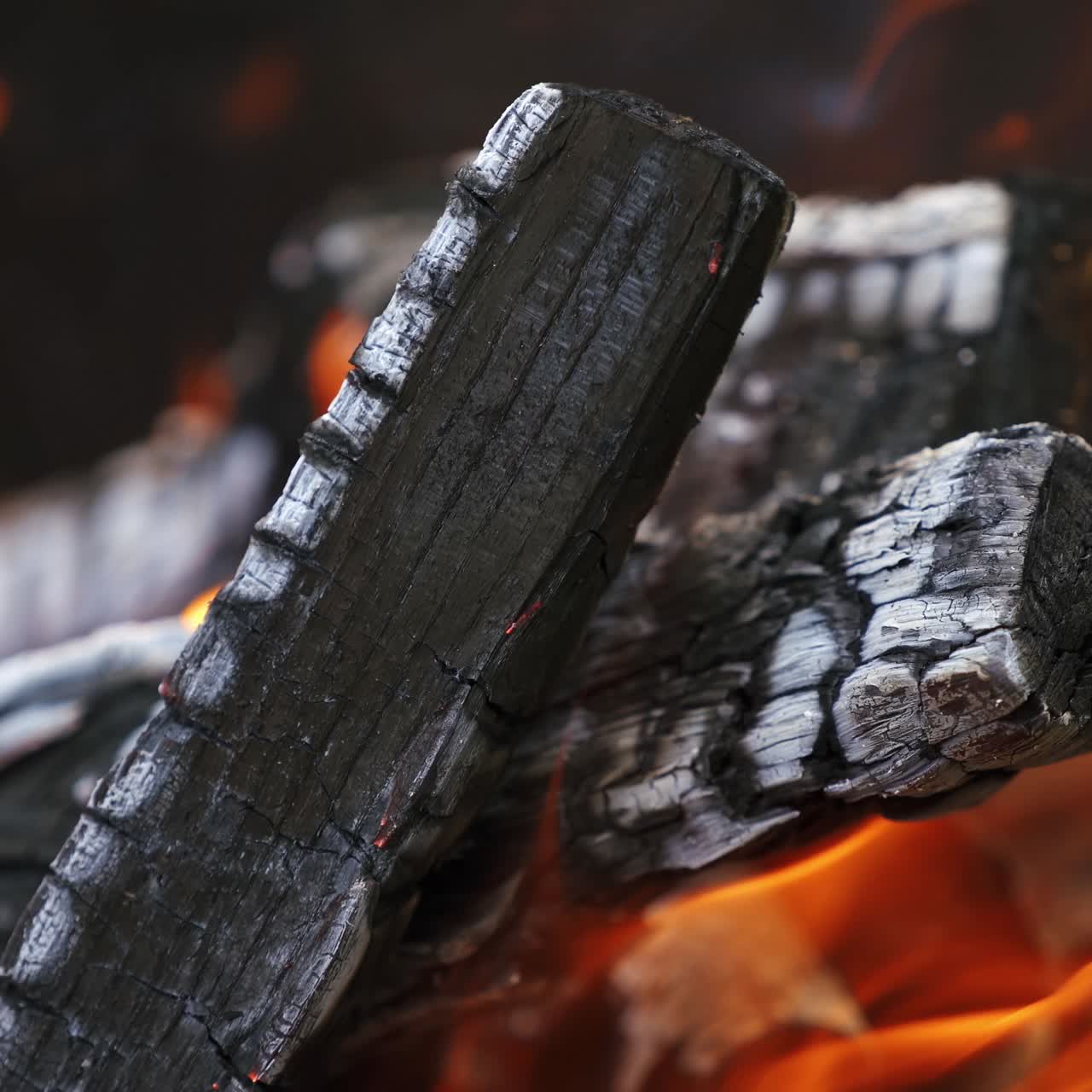 Burning up logs on campfire. Detailed motion of fire on black wood smoldering. Wooden logs in vivid flame. Close-up.