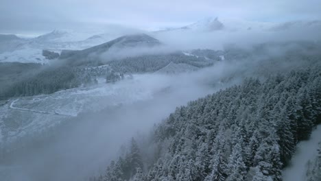 snowy forest hillside with misted valley and distant white mountains