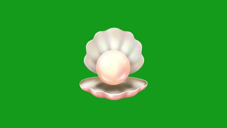 Sea shell motion graphics with green screen background