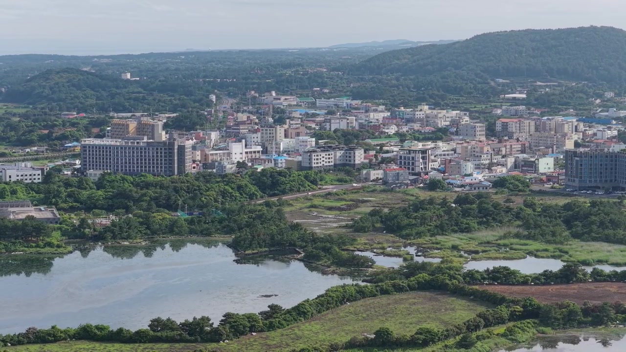 Paesaggio Urbano Vicino all'Area di Protezione delle Zone Umide di Ojo-ri, Lussureggiante e Verde, a Ojo-ri, Seongsan-eup, Seogwipo-si, Jeju-do, Corea del Sud. - ripresa aerea