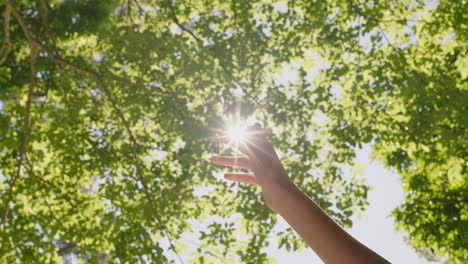 hand-reaching-for-sunlight-touching-sun-shining-between-fingers-catching-sunshine-in-forest-woods