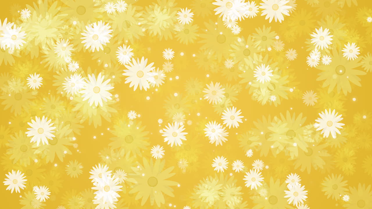 Chamomile flowers with white petals. Summer plants that rotate, appear and disappear. Seamless yellow background. Abstract motion graphics. Looped video.