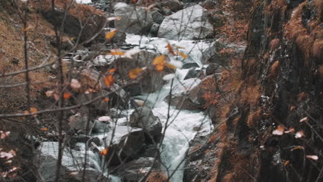 autumn mountain stream