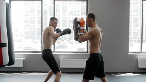 men training boxing/kickboxing in gym