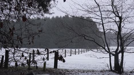 Weitwinkelaufnahme-Einer-Waldlandschaft-Mit-Landwirtschaftlichen-Feldern,-Während-Es-In-Der-Lommelse-Sahara-Schneit