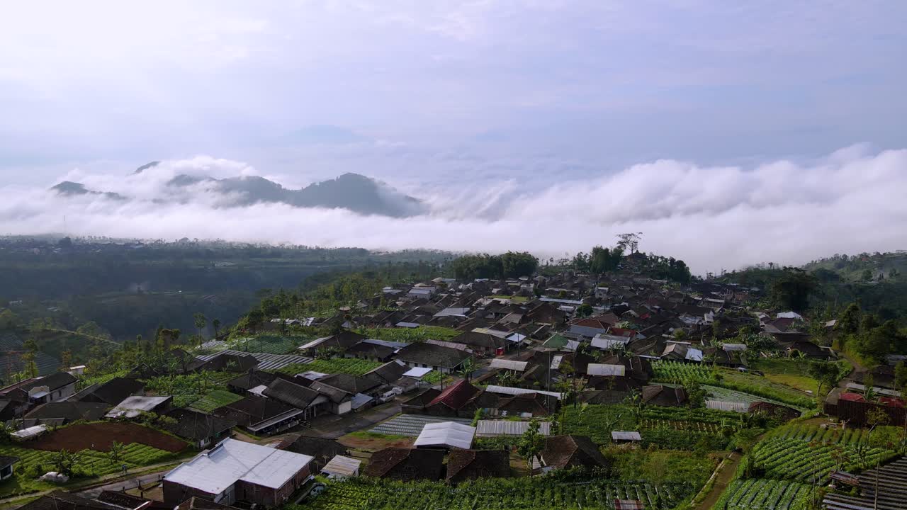 vista aérea del campo indonesio en la colina por encima de las nubes