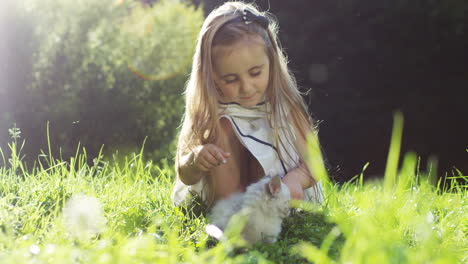 Little-cute-girl-sitting-on-green-grass-and-petting-a-white-cute-kitty-cat-in-the-park