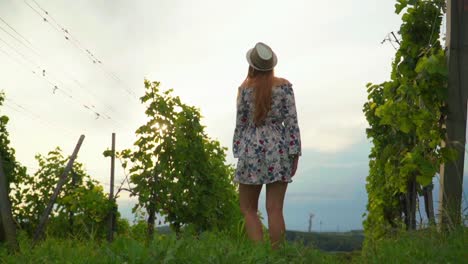 Stunning-HD-footage-of-a-white-Caucasian-woman-with-a-knitted-hat,-dress-and-red-lipstick-standing-in-a-vineyard-illuminated-by-sunlight,-observing-her-surroundings