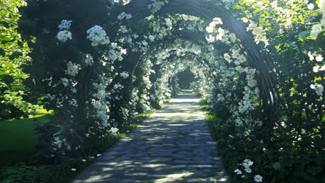 a walkway lined with white flowers in the middle of a lush green forest